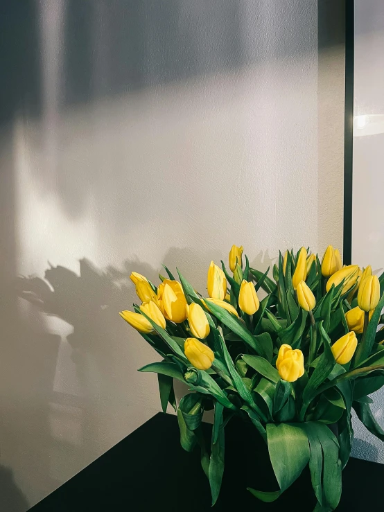 yellow flowers on a black table against a white wall