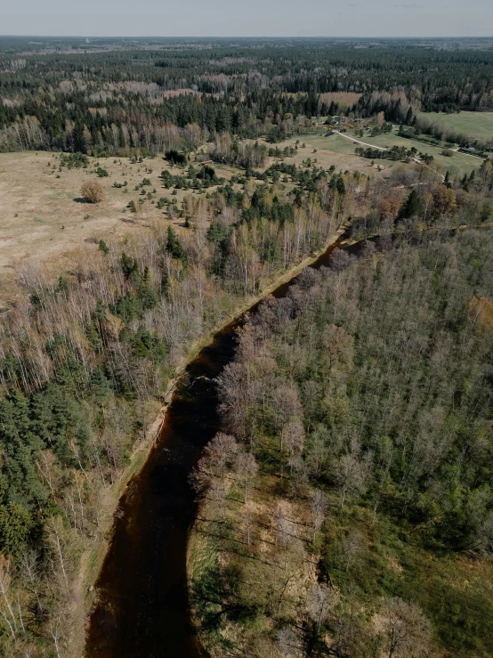 the road is in a clearing between green and brown land