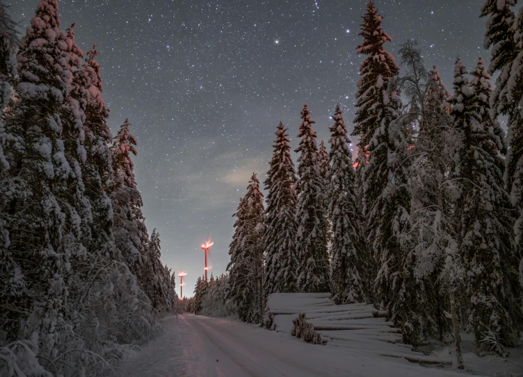 trees on a snowy street in the evening with the night sky lit by lanterns