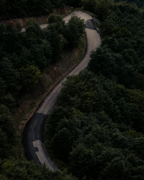 a winding road with trees surrounding it