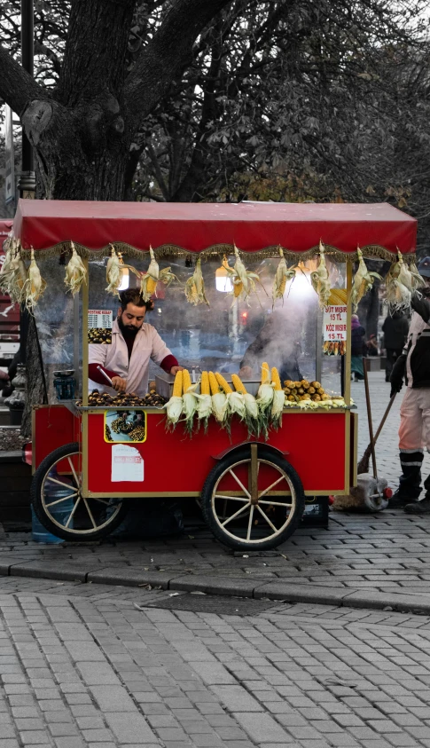 a person standing at a food cart selling fruit