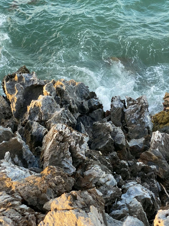 the bird is sitting on the rock out on the water