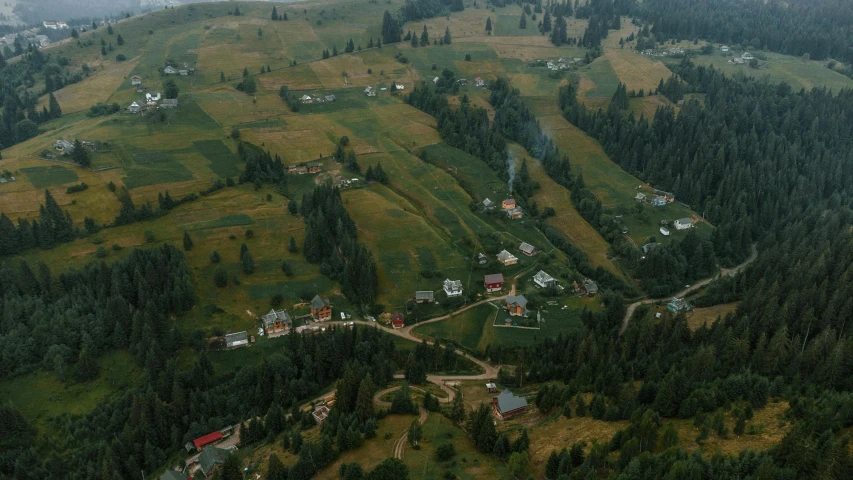 a forested valley and area with homes surrounded by forest