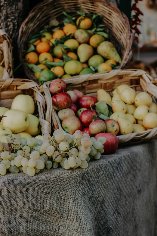 many types of fruits are placed on display