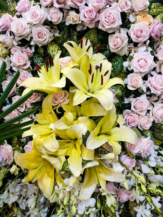 a lot of flowers sitting together on a wall