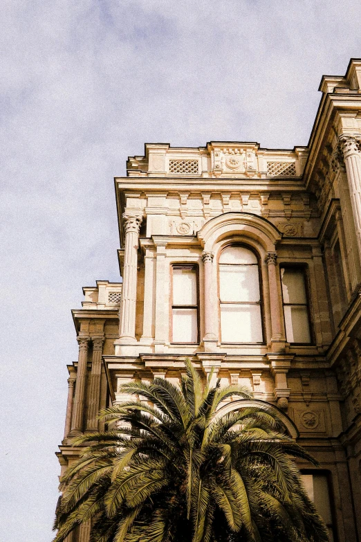 a large building with a tree next to it