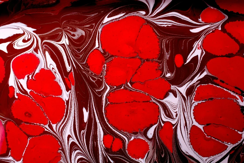 red and white abstract artwork with leaves on a black background