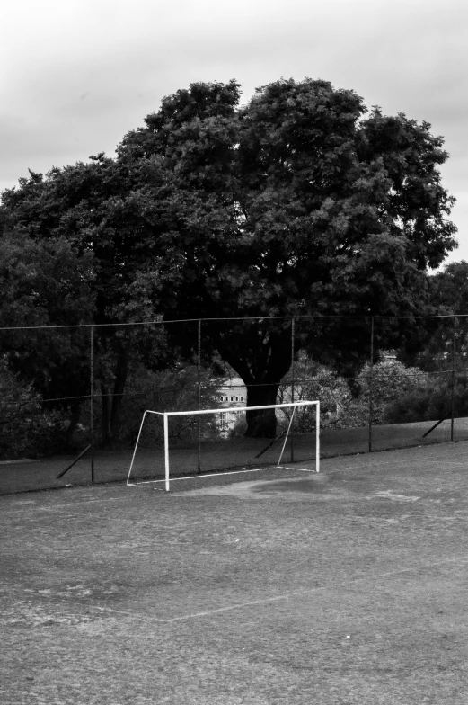 a black and white pograph of soccer goal and trees