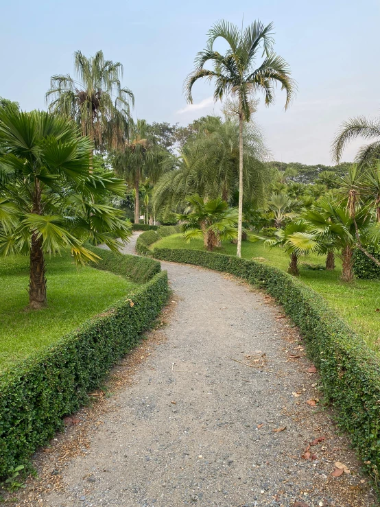 a view of a road lined with shrubs and trees