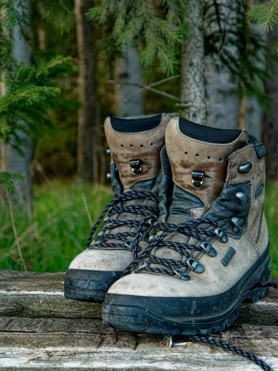 a pair of hiking boots on a log