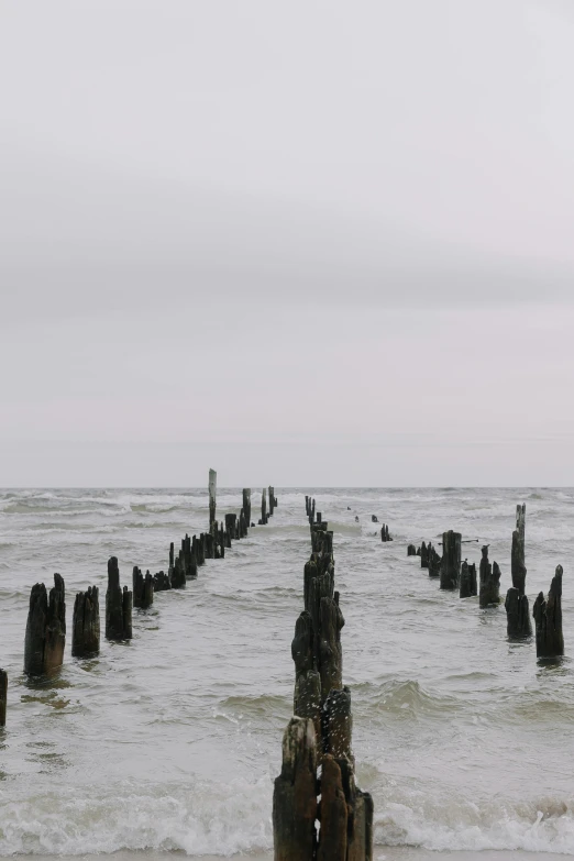 a very old wooden dock on the shore