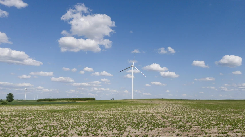 wind turbines on a farm surrounded by fields