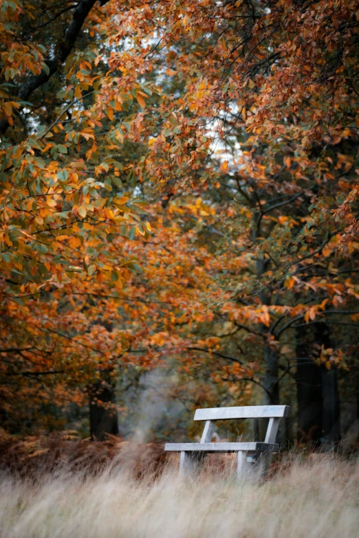a white park bench in front of some trees