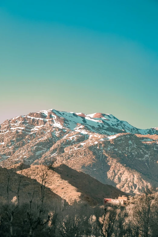 a lone mountain is next to the bare trees