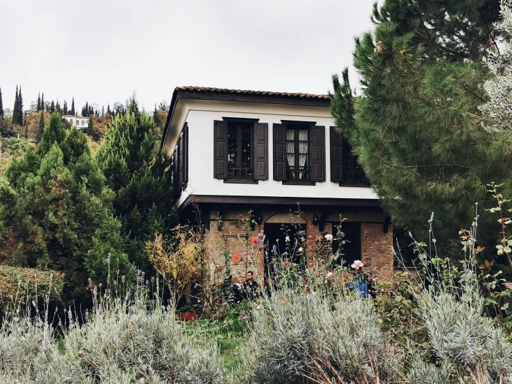 an outside view of a home surrounded by shrubbery