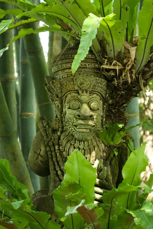 statue next to bamboo tree in outdoor setting