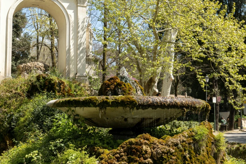 the small fountain is surrounded by greenery