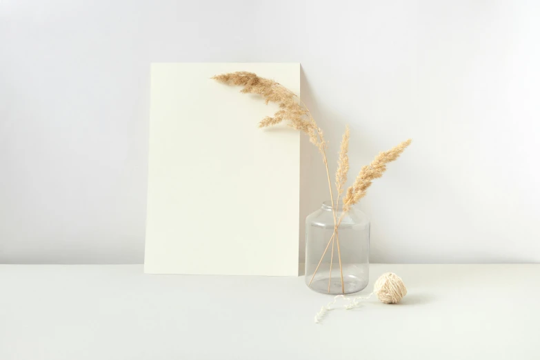 some dried plants in a glass vase and white card