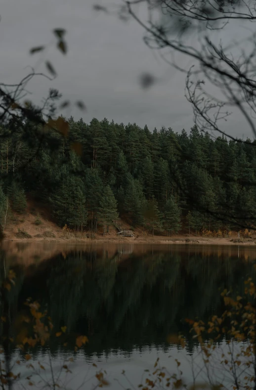 this is a body of water with trees in the background