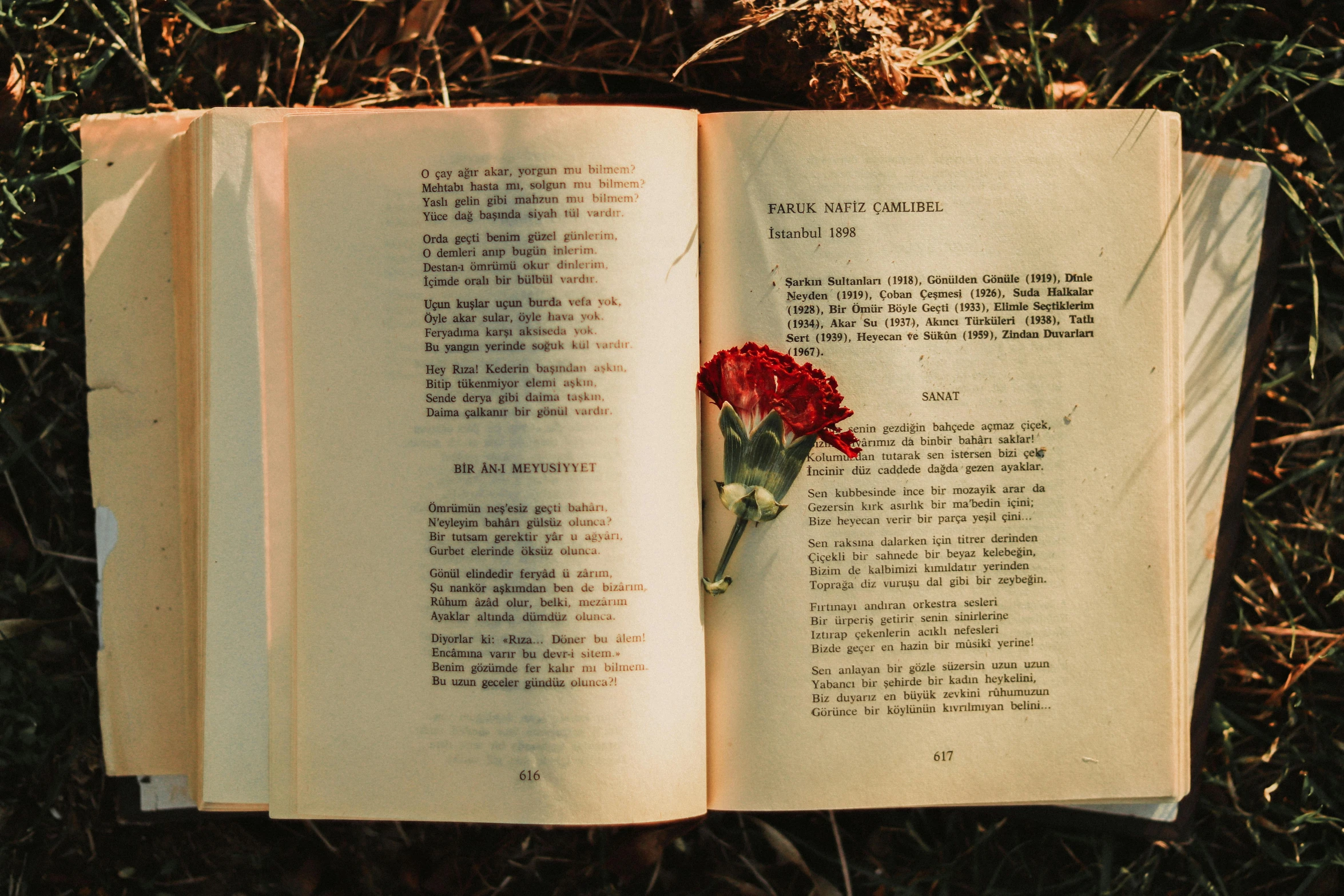 an open book laying on top of the ground