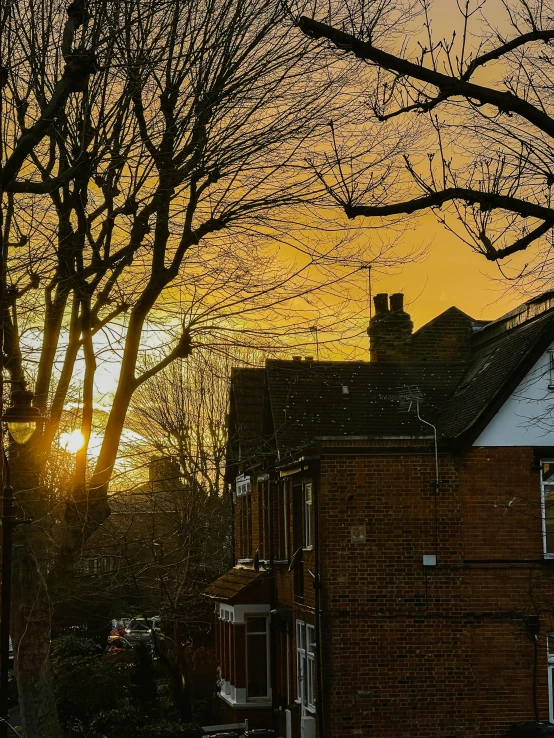 the sun peeking through trees as seen from a distance