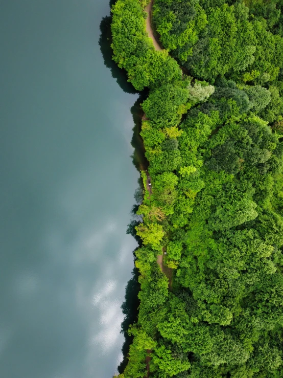 a lake surrounded by lush green trees with the sky above