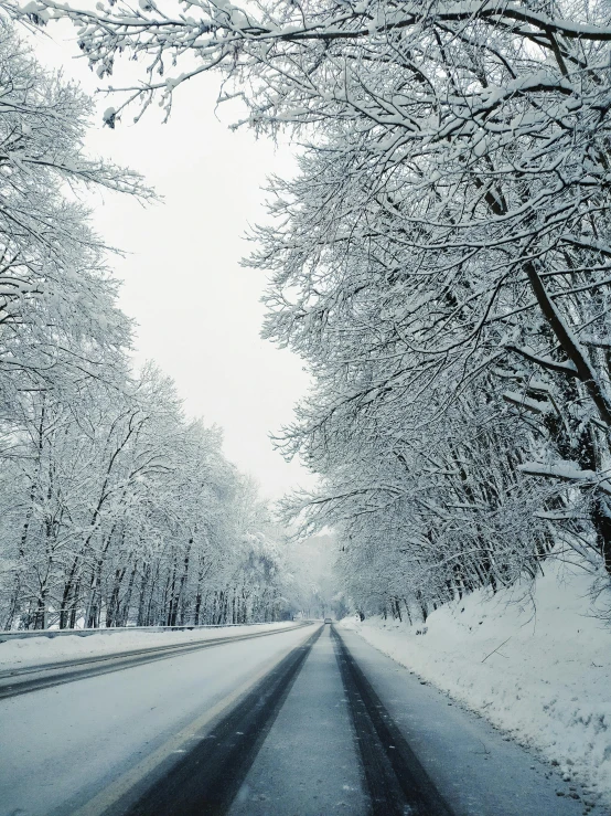 a road covered in snow and trees with lots of snow on it