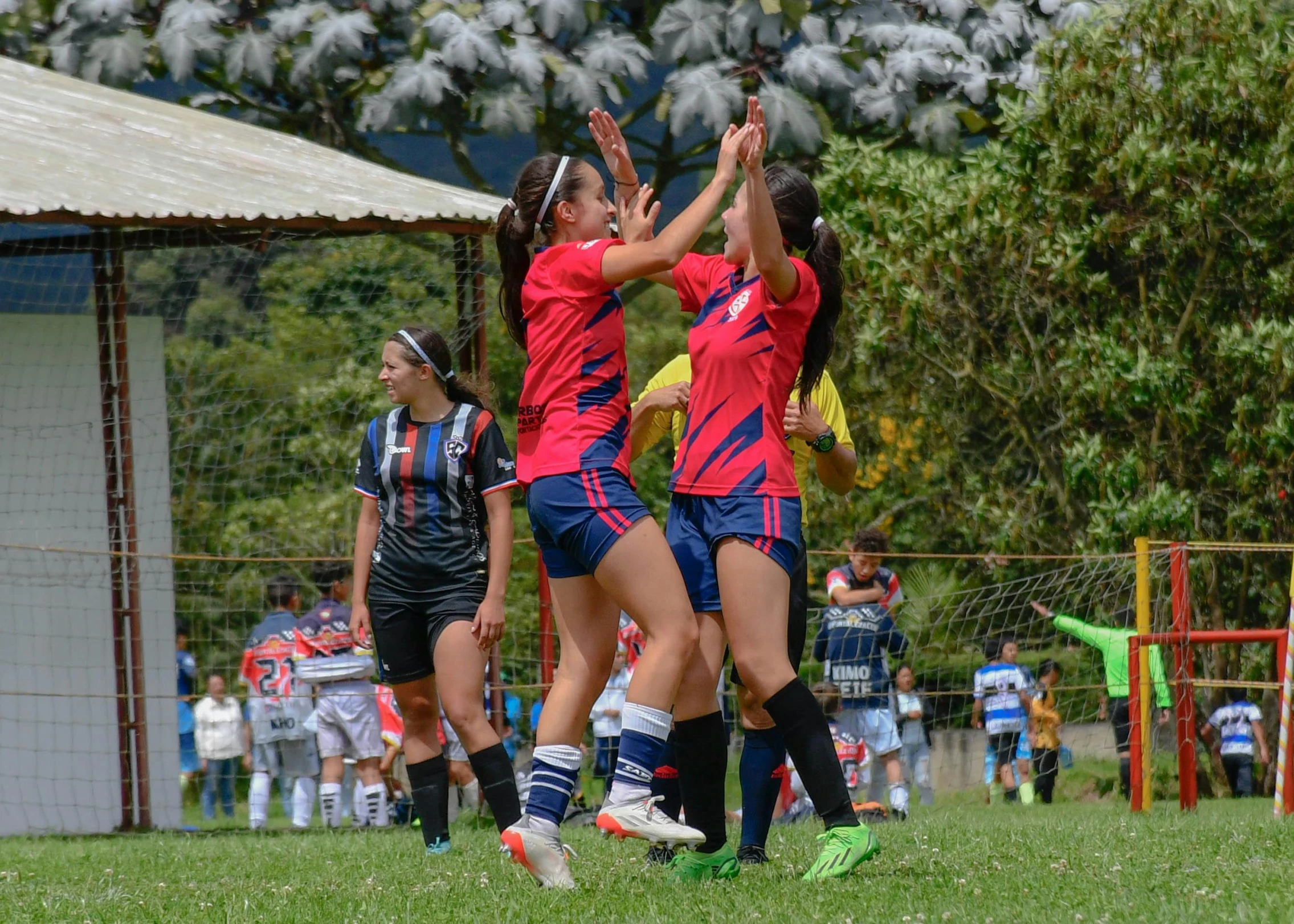 a group of young women playing a game of frisbee