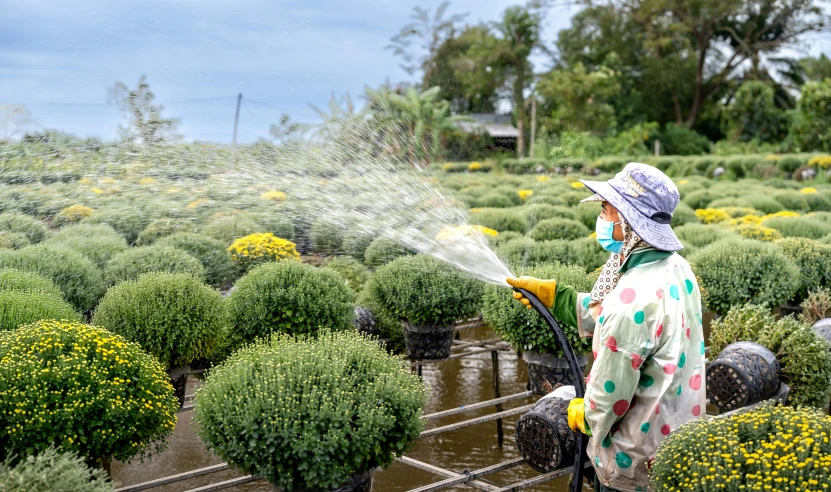 a woman spraying flowers with a yellow sprayer