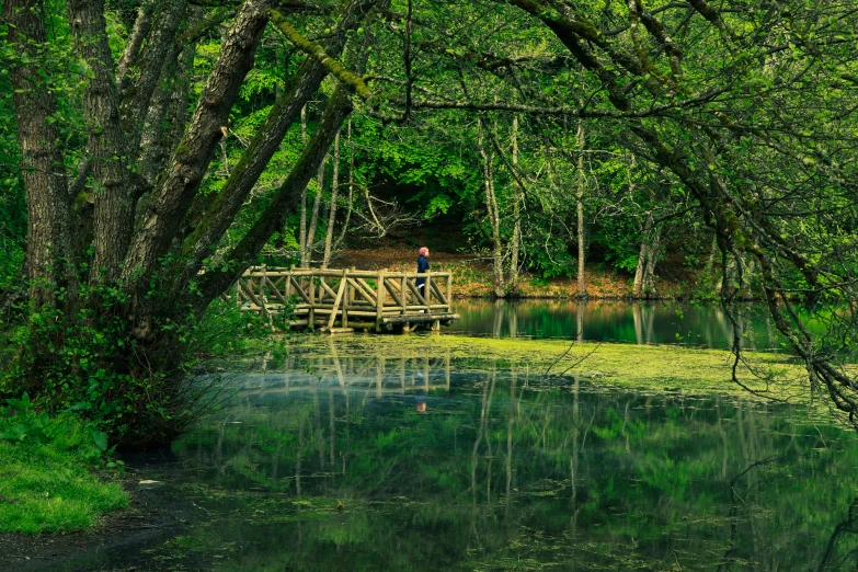 there is a person crossing a bridge over a lake