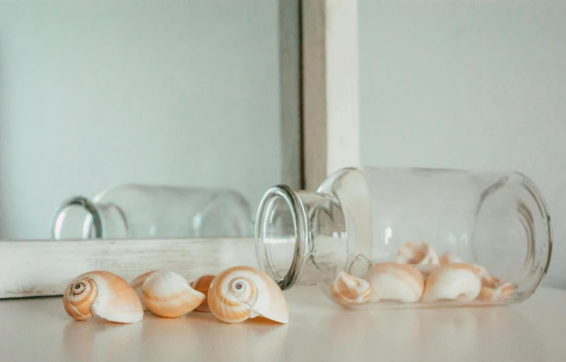 a little shell in a vase and a mirror