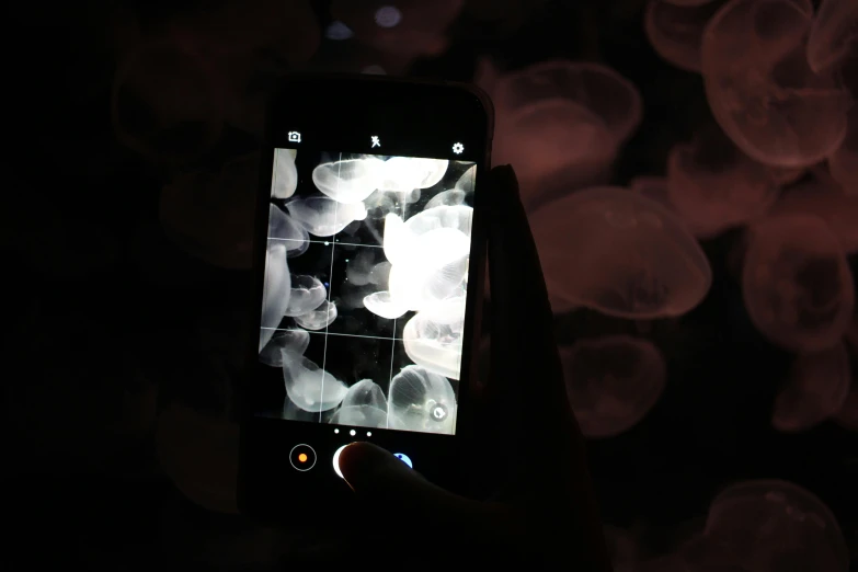 a person holding a cell phone at night