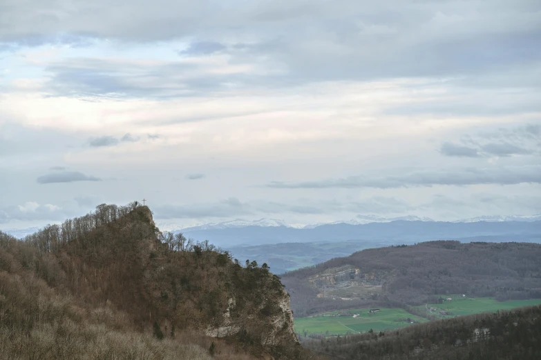 trees and bushes on top of the hillside