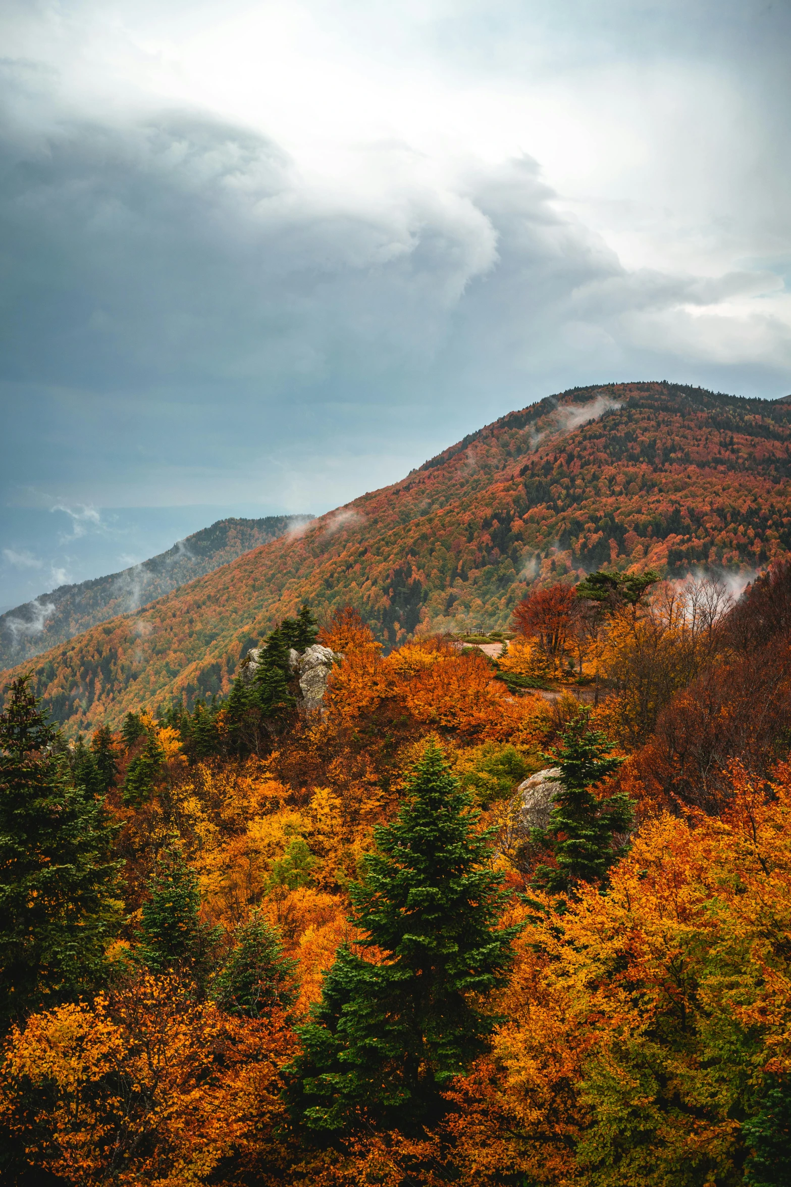 a mountain is shown in autumn with the leaves changing colors