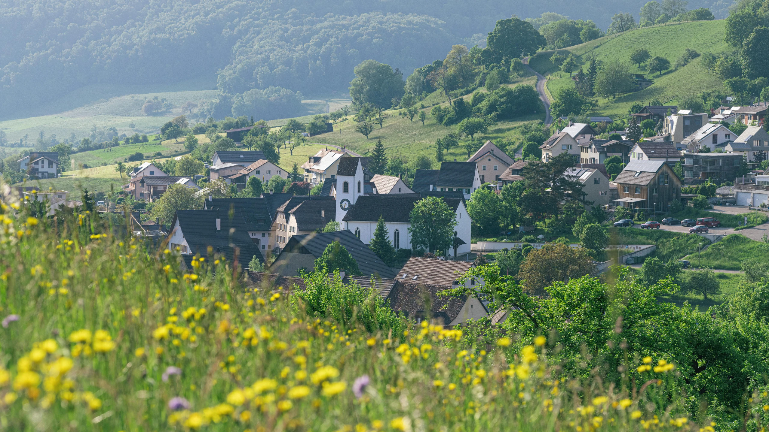 the houses are surrounded by wildflowers and trees