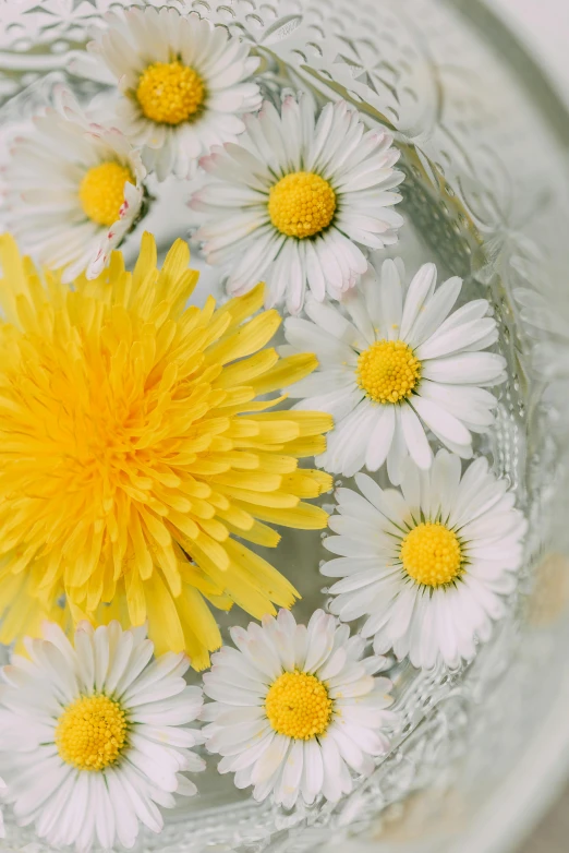 there is a glass bowl with yellow and white flowers