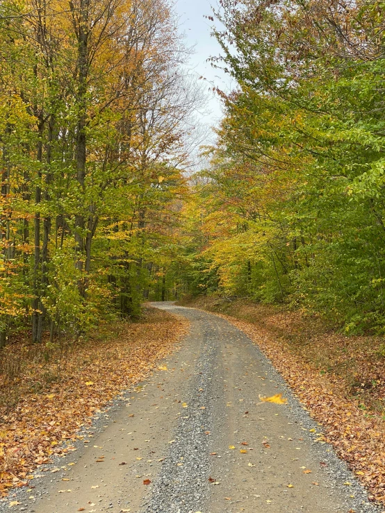 the curve in the road is marked with an arrow