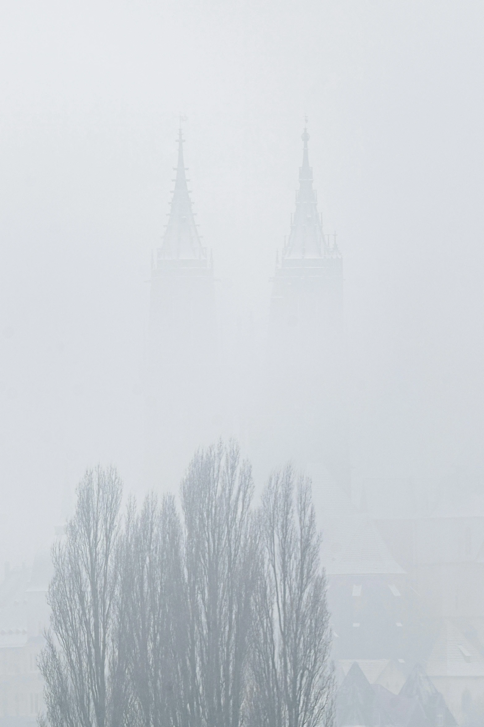 trees and sheep in the middle of a snowstorm