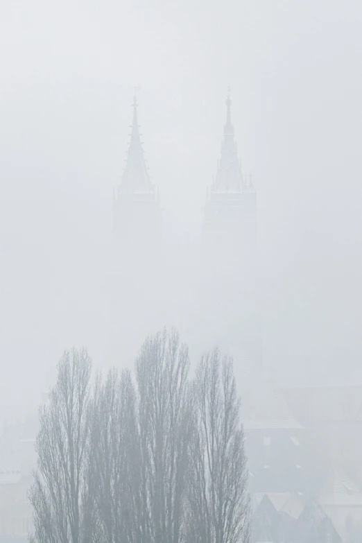 trees and sheep in the middle of a snowstorm