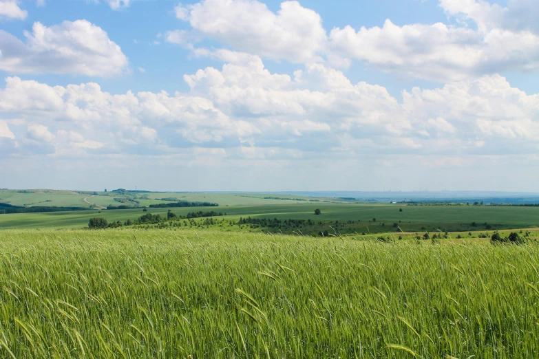 there is grass on the ground and some hills