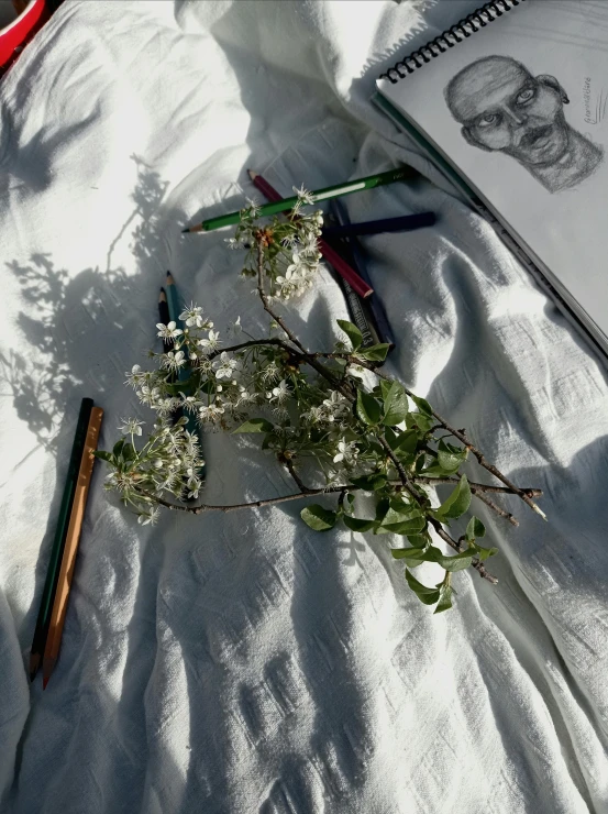 a nch of small white flowers is lying next to a drawing book and pencils