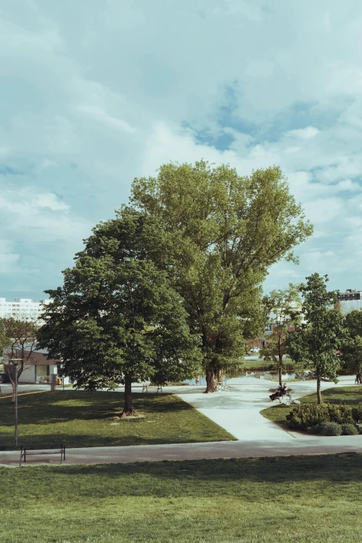 a view of an empty park in the middle of the day