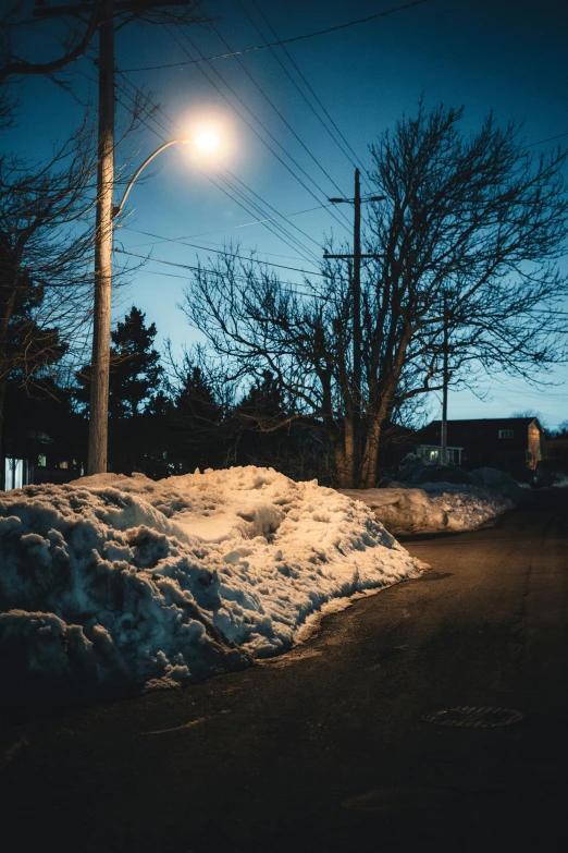 street lights and trees in snow covered area