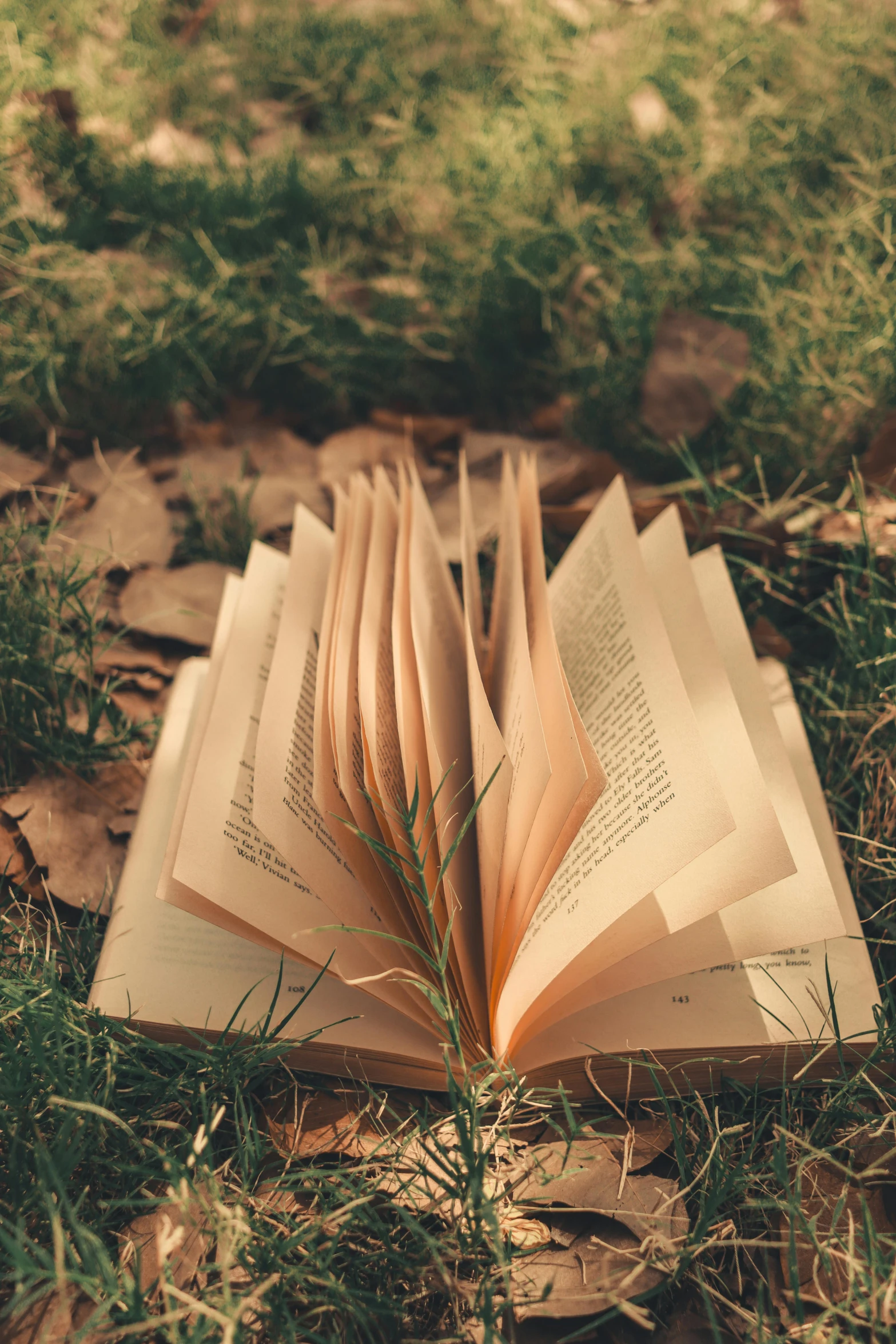 a book sitting on top of leaves in the grass