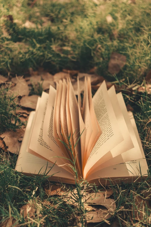 a book sitting on top of leaves in the grass