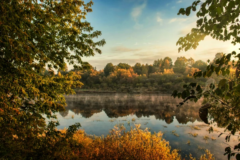 a small lake surrounded by lots of trees and shrubs