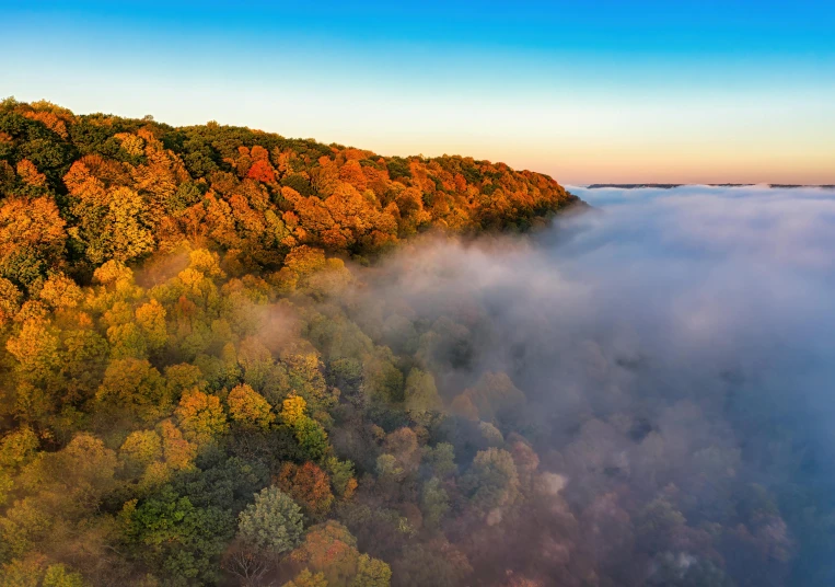 a very long view of a tree covered hill