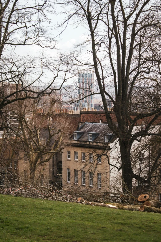 large buildings in the back and trees in front