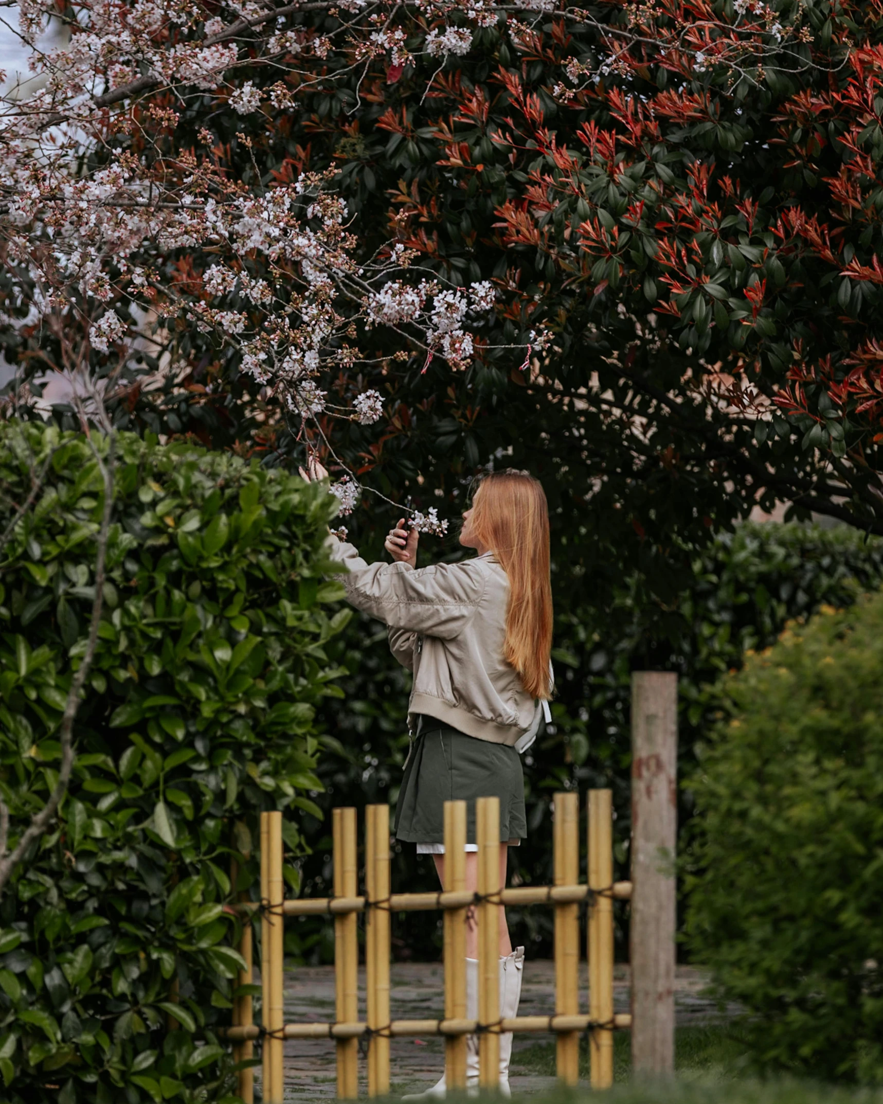 a girl standing on a fence and reaching up to the blossoms