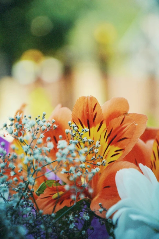 many different kinds of flowers are in a blue vase